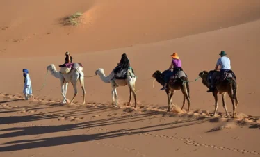 Sahara Camel Tour – Discover Tunisia on Camelback